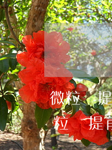 微粒貸提前幾天會(huì)提醒還款嘛，微粒貸提前還款通知：你會(huì)收到幾天的提醒？